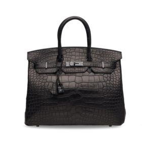 The Alligator Birkin